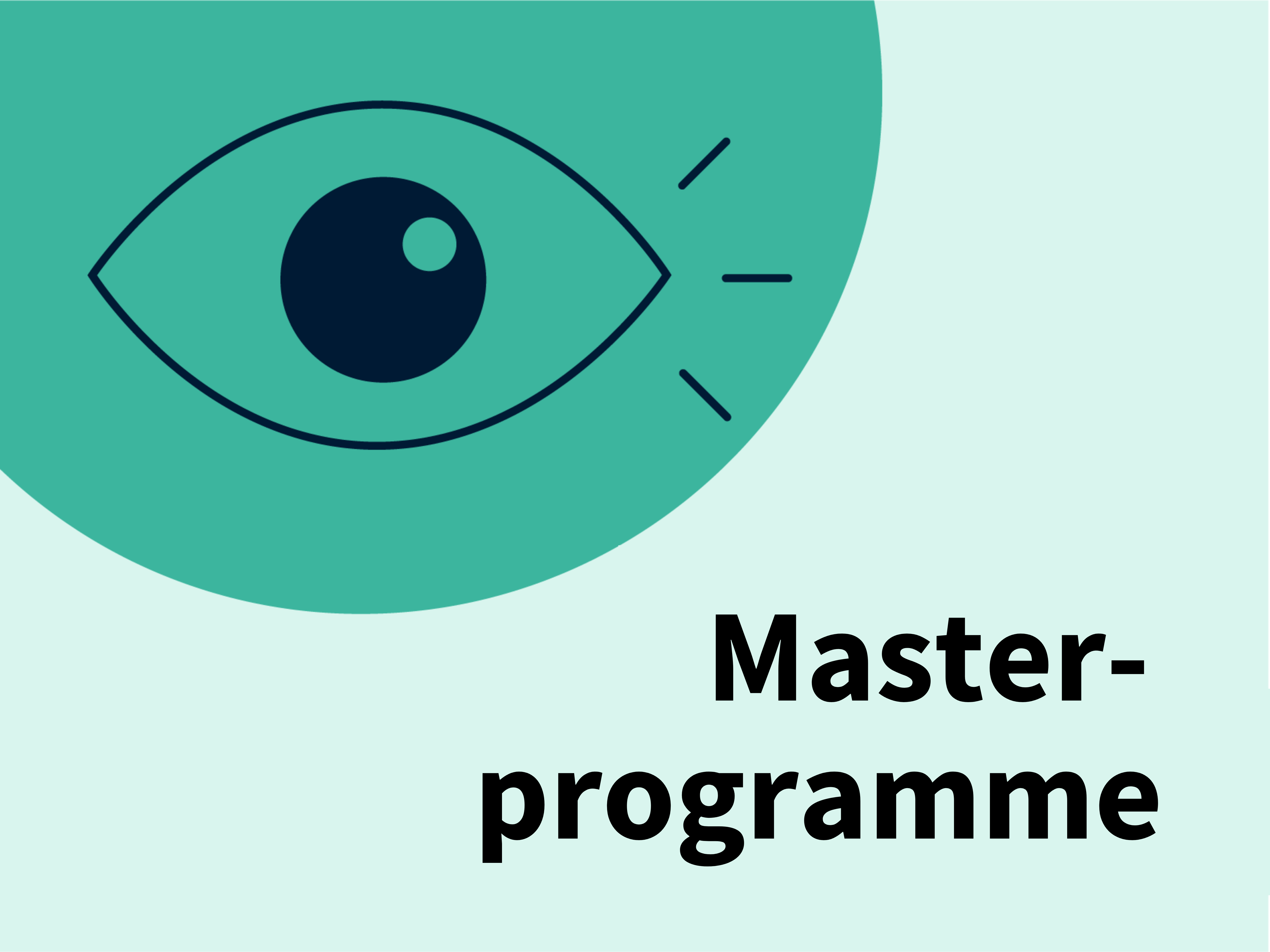 2. Masterprogramme